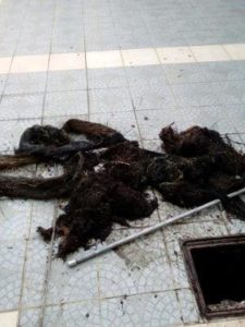 ΠΑΝΙΑ ΚΑΙ ΡΙΖΕΣ ΔΕΝΤΡΩΝ ΠΟΥ ΕΒΓΑΛΕ Η ΑΠΟΦΡΑΞΕΙΣ ΝΕΑ ΕΡΥΘΡΑΙΑ